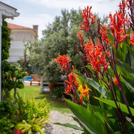 Kokopelli B&B