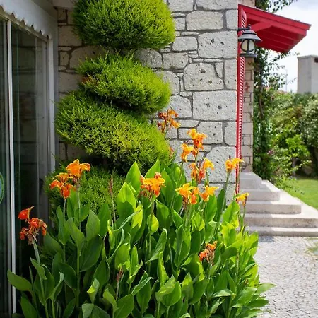 B&B Kokopelli 알라카티