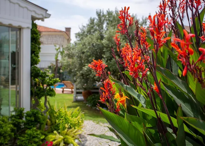 Kokopelli Bed & Breakfast