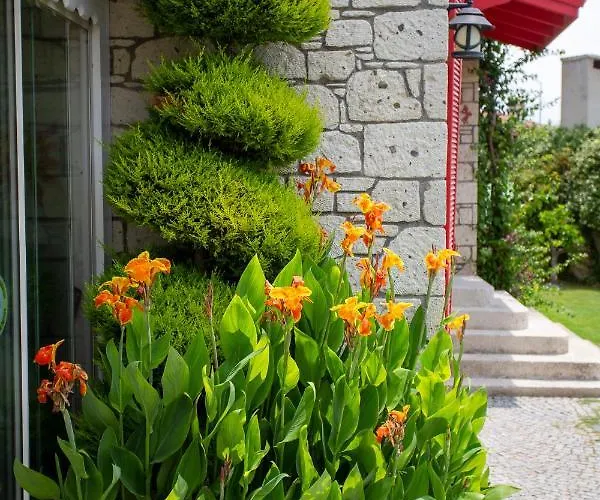 Bed & Breakfast Kokopelli Alaçatı