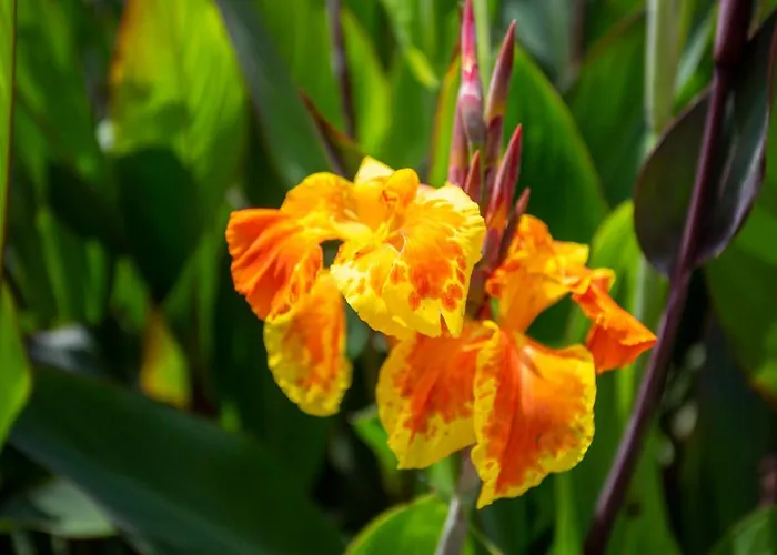 Kokopelli לינה וארוחת בוקר 4*